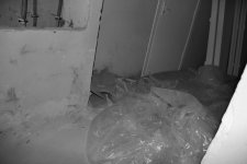 IMG_5539.JPG