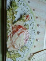 DSC02309.jpg