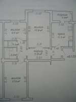 SSA43772.JPG