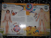 DSCF3198.JPG