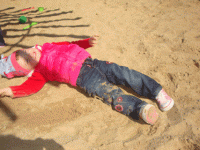 DSC03835.gif