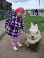 DSC03922.gif