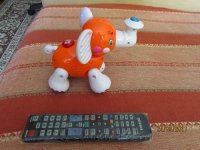 IMG_0571.JPG
