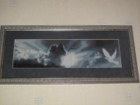 IMG_4322.jpg