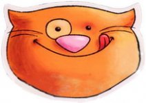 Орандж Кот.JPG