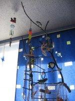 IMG_0382.jpg