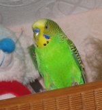 IMG_0402.jpg