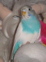 IMG_0403.jpg