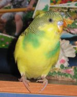 IMG_0405.jpg