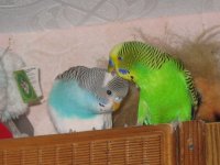 IMG_0411.jpg
