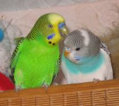 IMG_0416.jpg