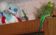 IMG_0421.jpg