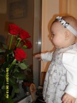 SDC15556.JPG