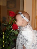 SDC15557.JPG