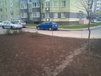 DSC_0273.jpg