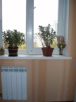 PA100005.JPG