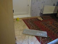 IMG_7857.jpg