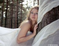 Сказочная копия.jpg