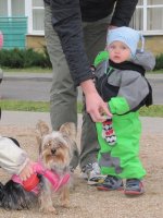 IMG_2313_m.JPG