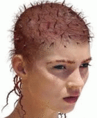 170x170.gif