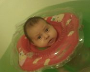 IMG_20111005_013406_crop.jpg