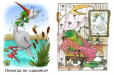 Никогда не сдавайся.jpg