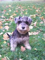 20111001173932.jpg