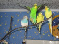 IMG_0474.jpg
