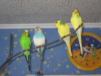 IMG_0475.jpg