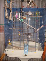 IMG_0494.jpg