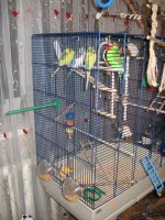 IMG_0500.jpg