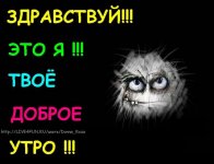 336a2bb66f07.jpg