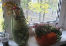 IMG_4794.jpg