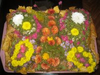 IMG_4797.jpg
