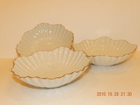DSCN0576.JPG