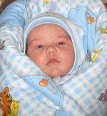 IMG_4130-2.jpg