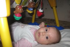 IMG_0995.jpg