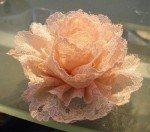 1822027_thumb_florrenda015.jpg