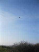 IMG_5010.jpg