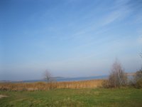 IMG_5032.jpg