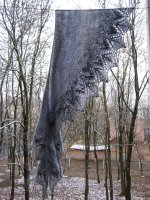 IMG_4629.JPG