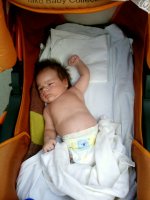 IMG0052A.jpg