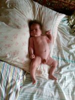 IMG0055A.jpg