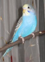 IMG_0605.jpg