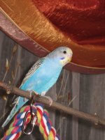 IMG_0616.jpg