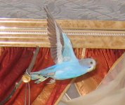 IMG_0621.jpg