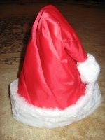 колпак новогодний.jpg