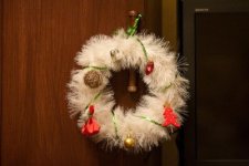 IMG_0150_1.JPG
