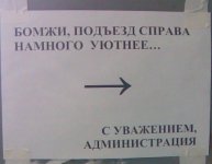 43_1.jpg