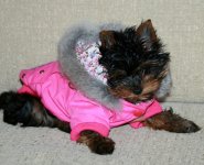 IMG_2881.JPG
